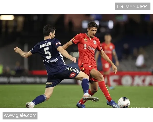 杭州网球队区域防守体系的战术解析与实战应用探讨